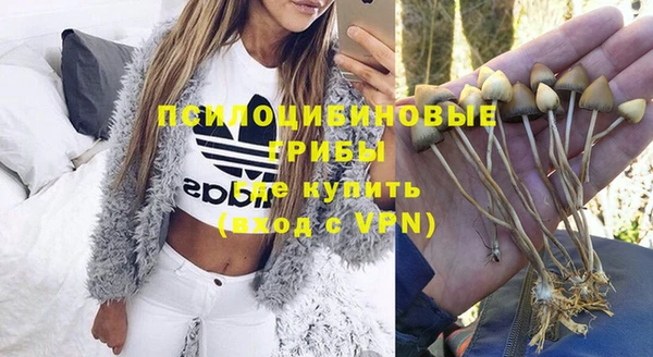 стафф Алзамай