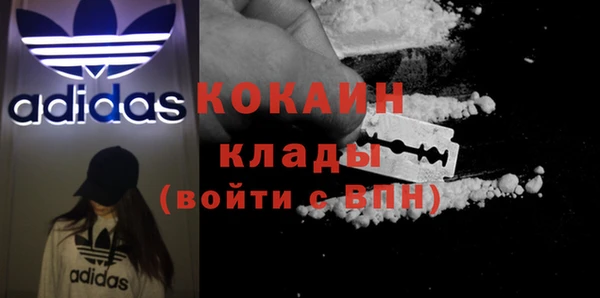 стафф Алзамай