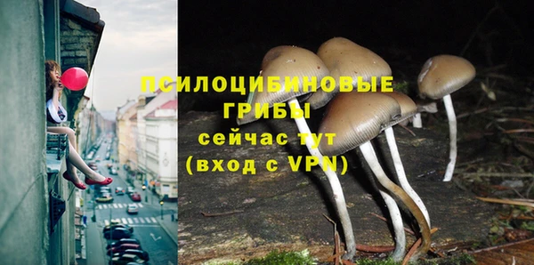 PSILOCYBIN Алексеевка