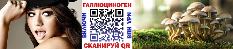 Псилоцибиновые грибы мухоморы  МЕГА   Подольск 